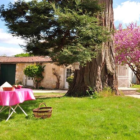 Le Logis Du Plessis Bed and Breakfast Chaniers Exteriör bild