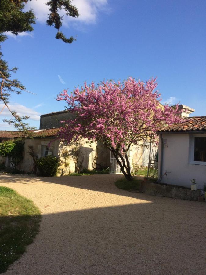 Le Logis Du Plessis Bed and Breakfast Chaniers Exteriör bild